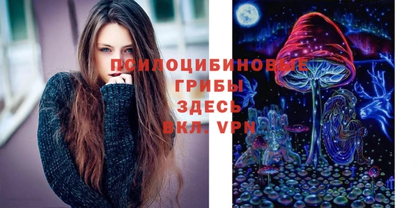 винт Майский
