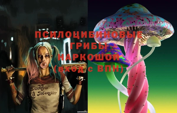 прущий лед Магас