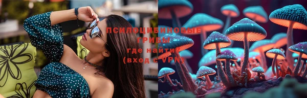СК Долгопрудный