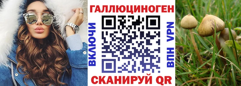 Галлюциногенные грибы ЛСД  Кирсанов 
